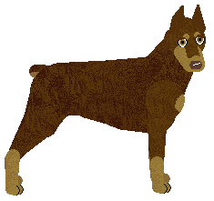 Profile image of Energizing SOMETHING WRONG