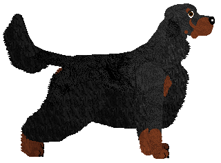 Spitfire's God Is A Dancer — “Dancer”