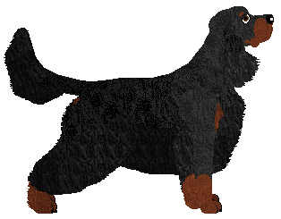 Spitfire's God Is A Dancer — “Dancer”