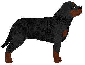 Guardian's Siostra Aresa — “Eris”