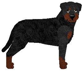 Profile image of Guardian's Siostra Aresa