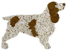 Energizing Bad Boy — “James”