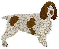 Profile image of Energizing Bad Boy