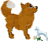 Profile image of EC's Little Fox Boy