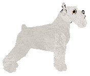 Mirror Blue's Rest and Rust — “Ewald”