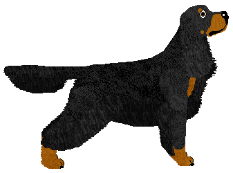 SettFever Mary Poppins — “Marry”