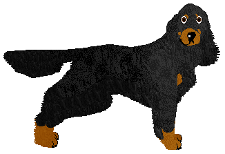 Profile image of SettFever Mary Poppins