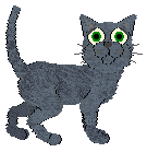 Loveshack Bronx Coctail — “Yonee”