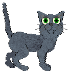 Profile image of Loveshack Bronx Coctail