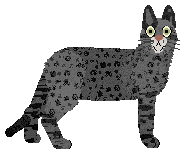 Loveshack Alabama Slammer — “Alabama”