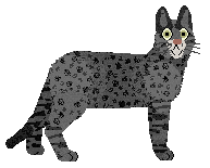 Profile image of Loveshack Alabama Slammer