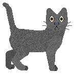 Profile image of Loveshack Wizard Of Oz