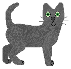 Profile image of Loveshack Capitan Morgan