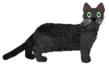 Loveshack Capitan — “Mozzie”