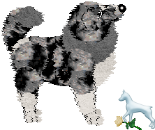 Profile image of Cargo's Book of Heavy Metal at Mythic Silence