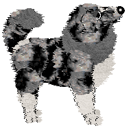 Cargo's Book of Heavy Metal at Mythic Silence — “Silverstorm”