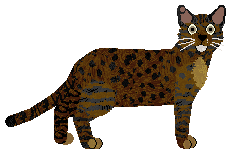 Loveshack The Fourth — “Amber”