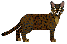 Profile image of Loveshack The Fourth