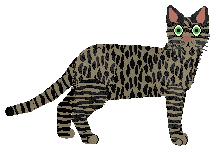 Profile image of Loveshack Daiquiri