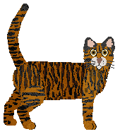 Loveshack Nelly Furtado — “Nela”