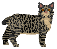 Loveshack Catch Them All — “Rumba”