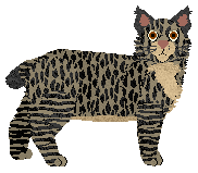 Profile image of Loveshack White Collar