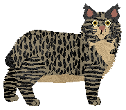 Loveshack Luxemburg Night — “Luxemburg”