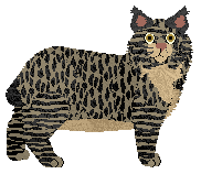 Profile image of Loveshack Luxemburg Night