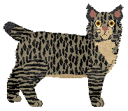 Loveshack Szalony Każdy Dzień — “Taco”