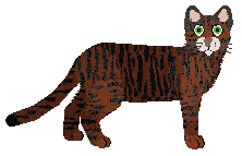 Profile image of Loveshack Bellini Champagne