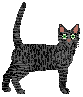 Profile image of Loveshack Passoa Shot