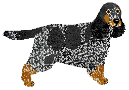 Profile image of Energizing Free Weekend