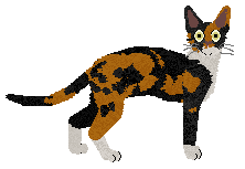 SECHE HorrorStory — “Annabelle”