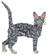 SECHE Guns'n'Boys — “Seth”