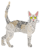 SECHE Dokonać niemożliwego — “Layla”