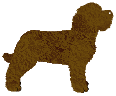 Energizing Victory Beti — “Beti”