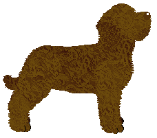 Energizing Victory Beti — “Beti”