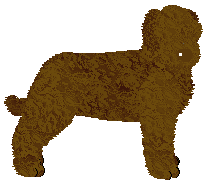 Profile image of Energizing Victory Beti