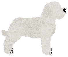 Energizing Colosseum — “Detlef”