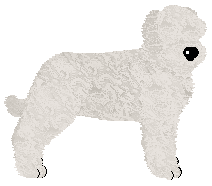 Profile image of Energizing Colosseum