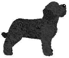 Energizing Lea Princess — “Nea”