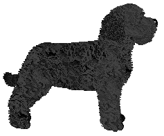 Energizing Lea Princess — “Nea”