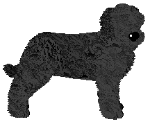 Profile image of Energizing Lea Princess