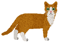 Nightwish Sapphire City — “Inverell”