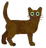 Nightwish Tumbling Water — “Katoomba”