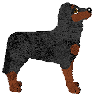 Fleetrun Varen — “Fern”