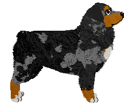 FullTilt's Rally Race at Torleiv — “Rally”