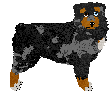 Profile image of FullTilt's Rally Race at Torleiv