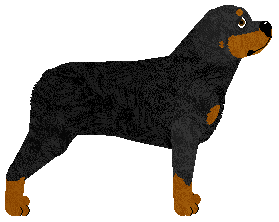 Guardian's Ukarany przez Zeusa — “Atlas”