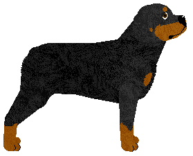 Guardian's Ukarany przez Zeusa — “Atlas”